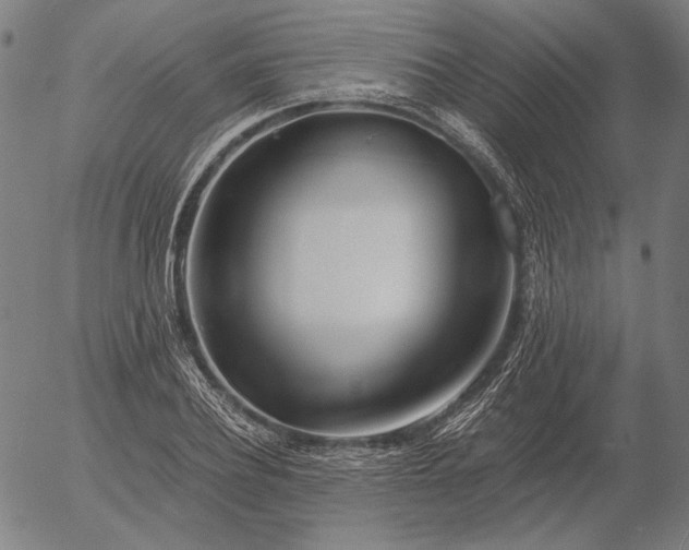 X0000056020932200509021752