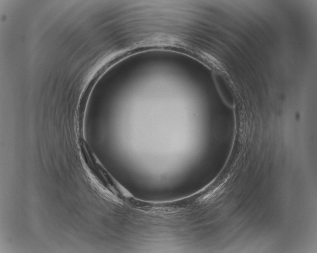 X0000056020942200509021752