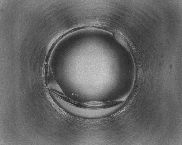 X0000056020944200509021752