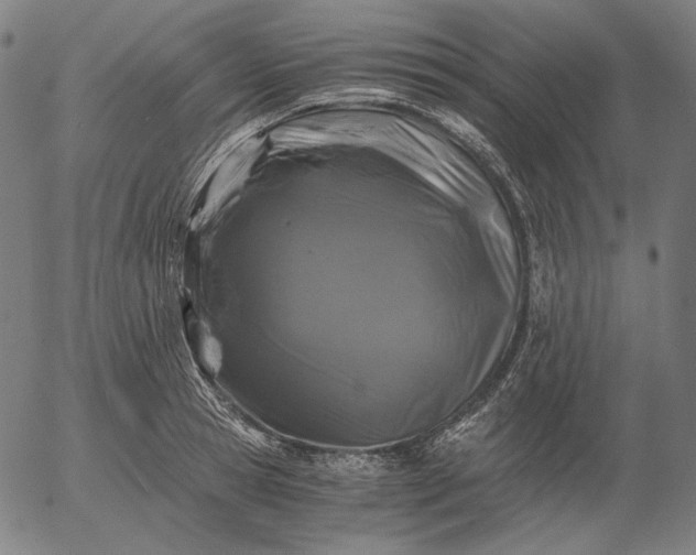 X0000056020945200509021752