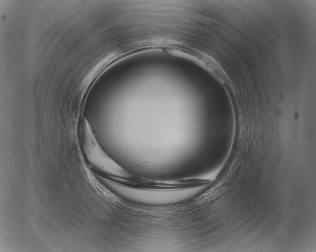 X0000056020946200509021752