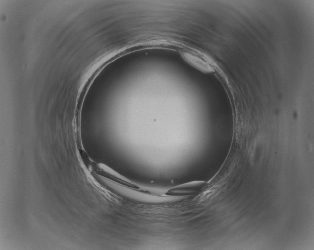 X0000056020951200509021752