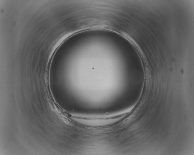 X0000056020956200509021752