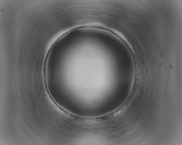 X0000056020959200509021752