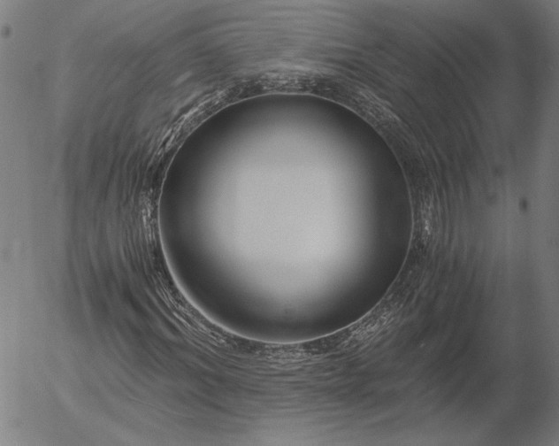 X0000056020964200509021751