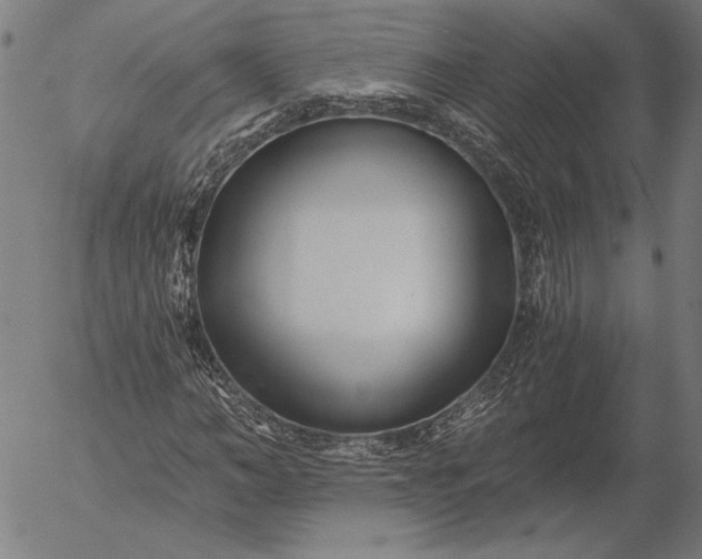 X0000056020966200509021751