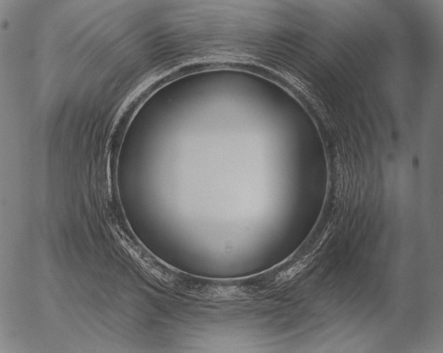 X0000056020982200509021751
