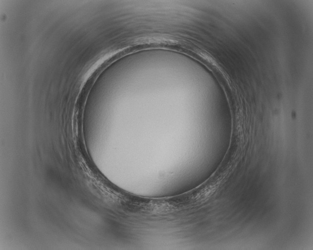 X0000056020983200509021751