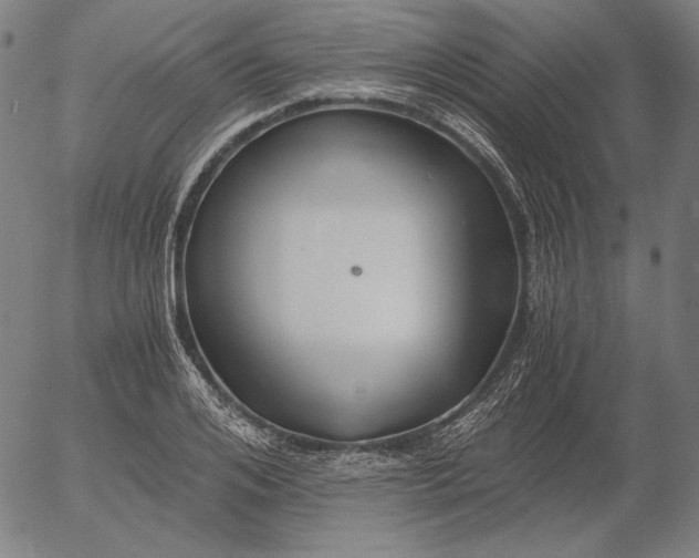 X0000056020984200509021751
