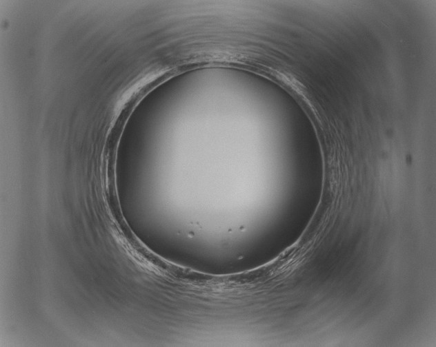 X0000056020987200509021751
