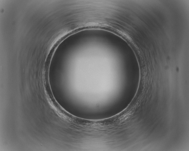 X0000056020991200509021751
