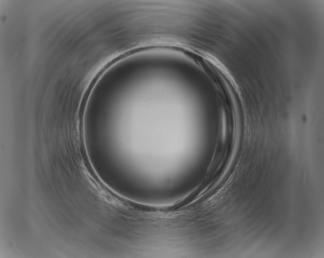 X0000056020996200509021751