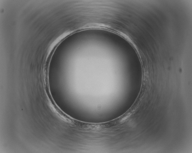 X0000056021003200509021751