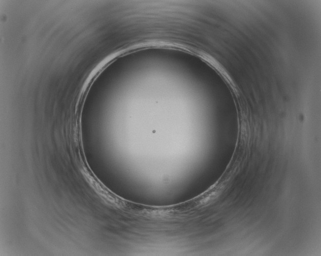 X0000056021004200509021751