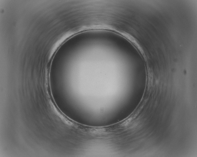 X0000056021006200509021751