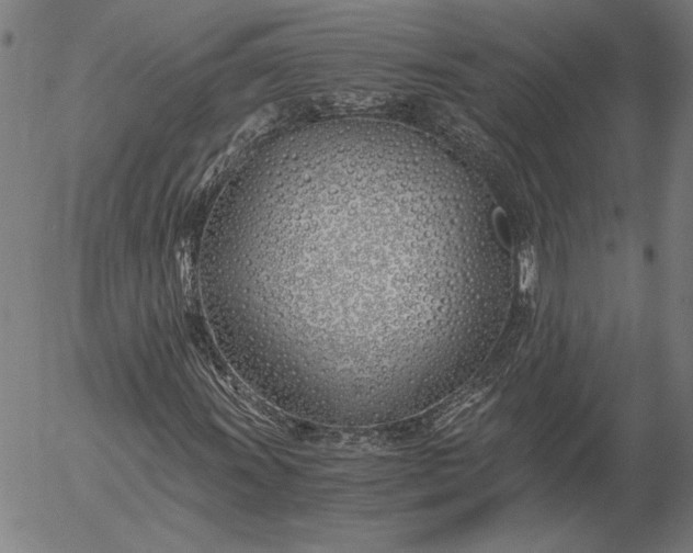 X0000056021011200509021750