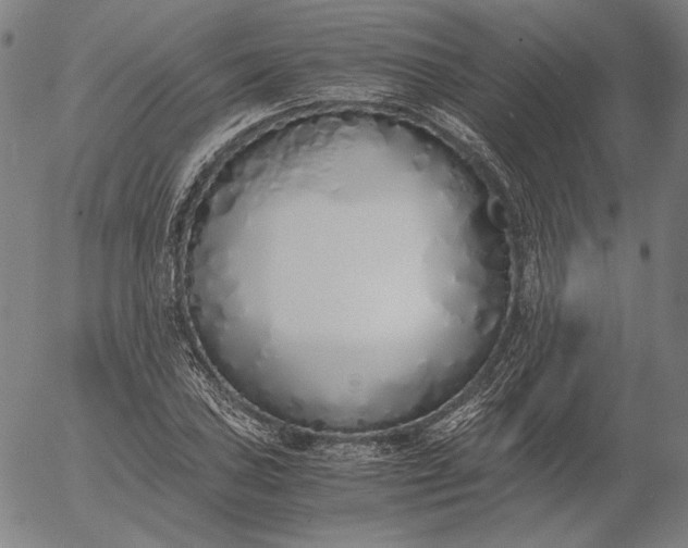 X0000056021027200509021750