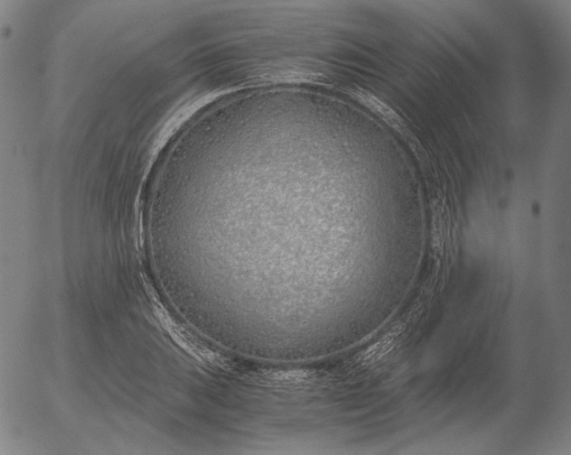 X0000056021031200509021750