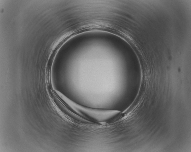 X0000056021034200509021750