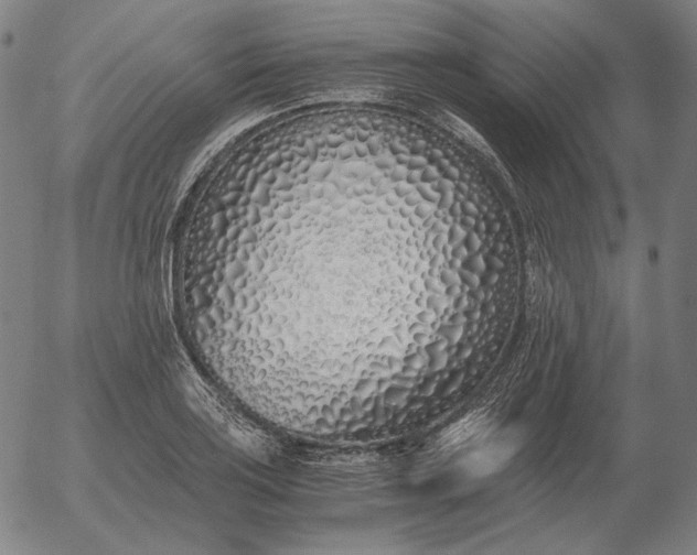 X0000056021035200509021750