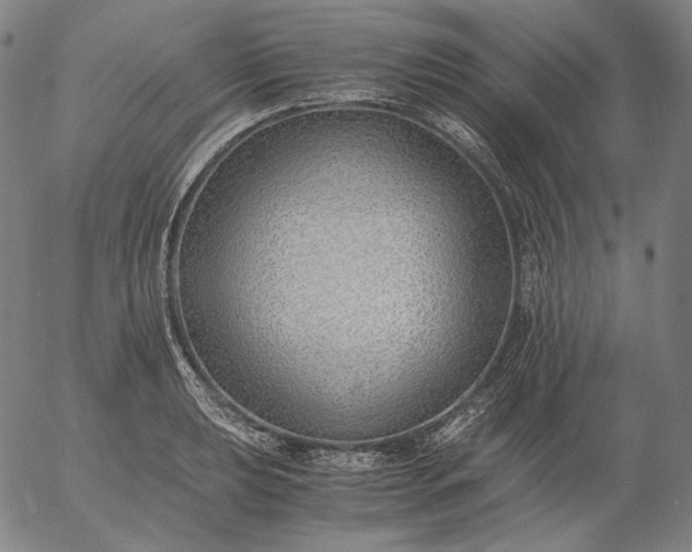 X0000056021039200509021750