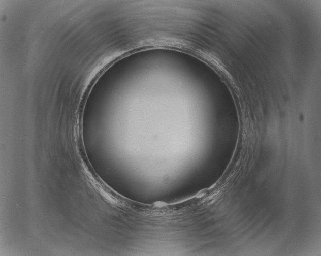 X0000056021040200509021750