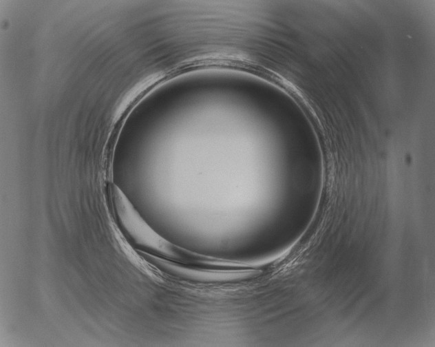 X0000056021042200509021750