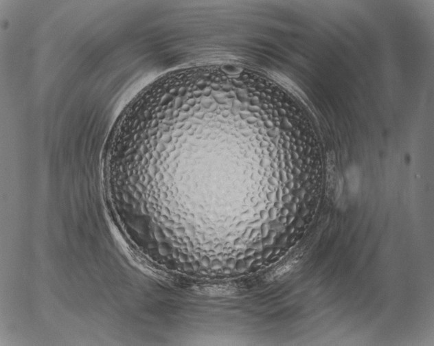 X0000056021047200509021750