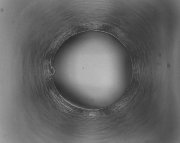 X0000056021058200509021750