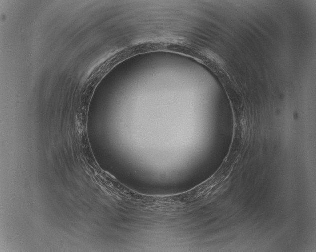 X0000056021064200509021750