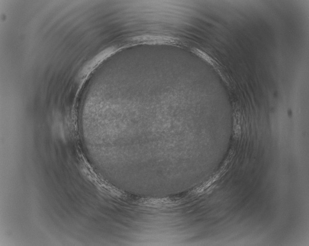 X0000056021074200509021750