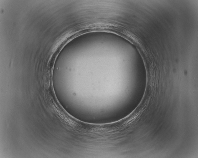 X0000056021075200509021749