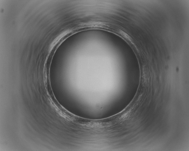 X0000056021082200509021749
