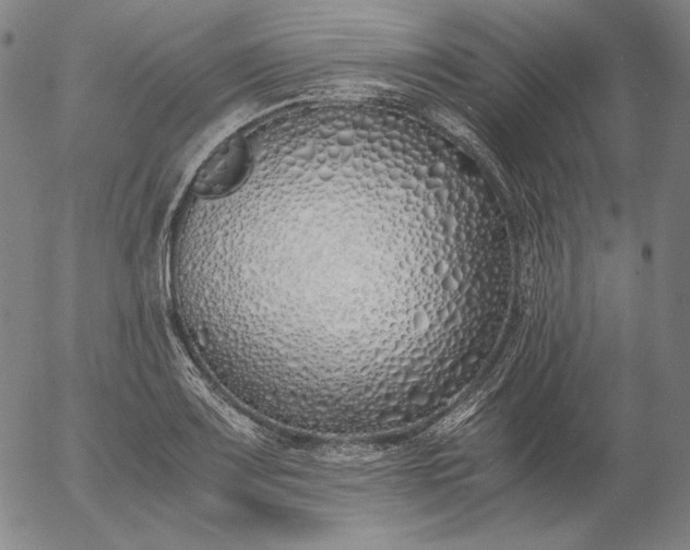 X0000056021083200509021749