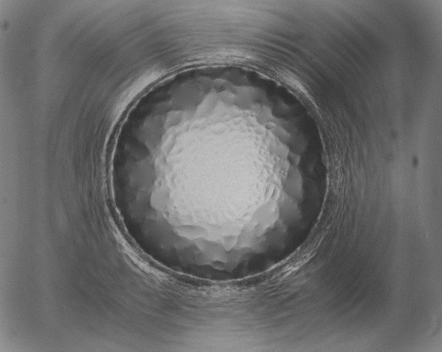 X0000056021087200509021749