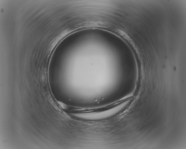 X0000056021089200509021749