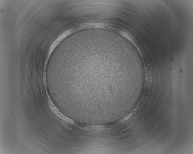 X0000056021090200509021749