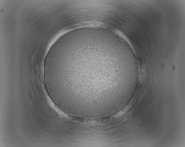 X0000056021099200509021749