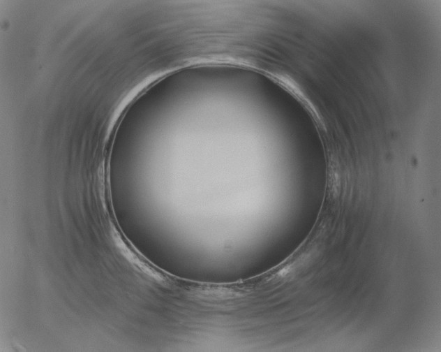 X0000056021100200509021749