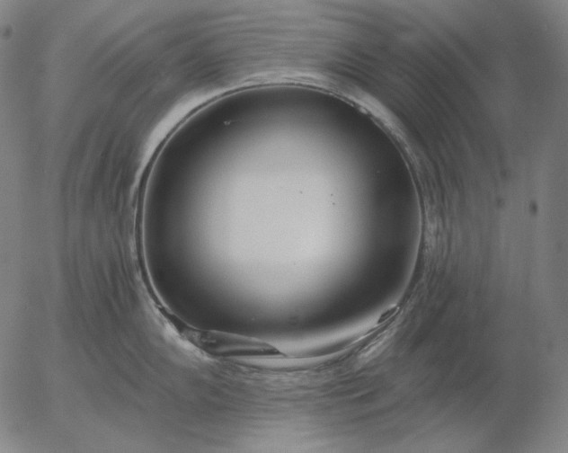 X0000056021102200509021749