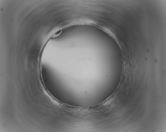 X0000056021103200509021749