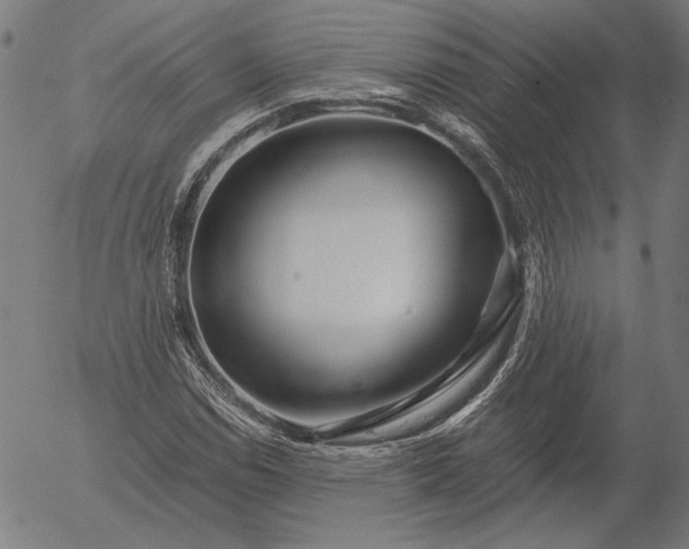 X0000056021114200509021748
