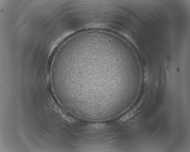 X0000056021117200509021748