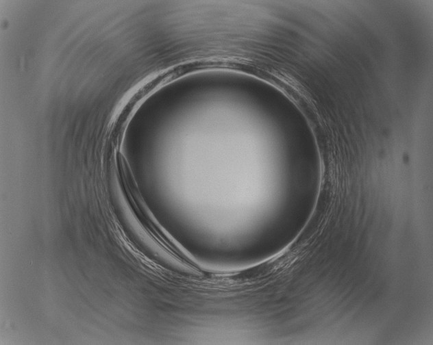 X0000056021120200509021748