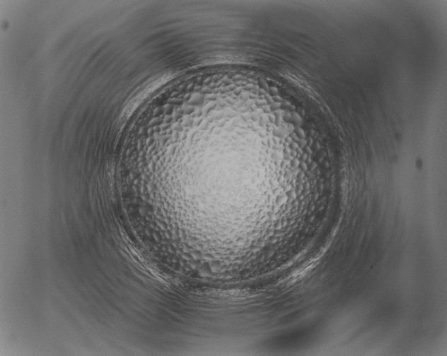 X0000056021121200509021748