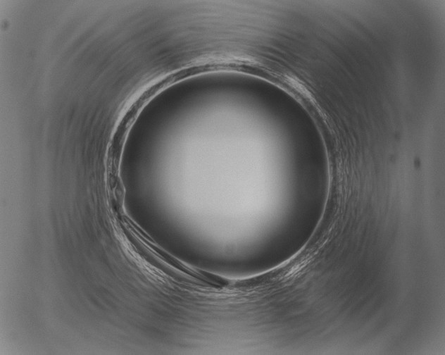 X0000056021124200509021749