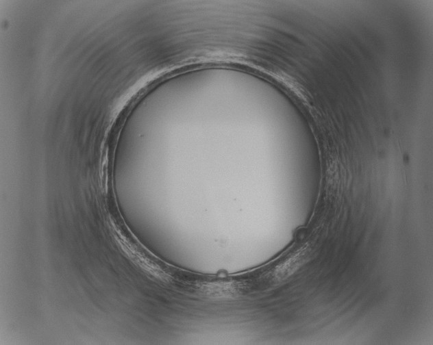 X0000056021126200509021749