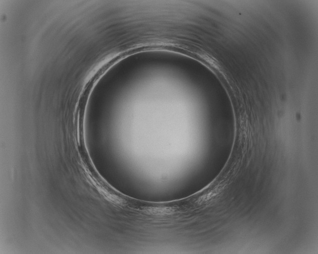 X0000056021127200509021749