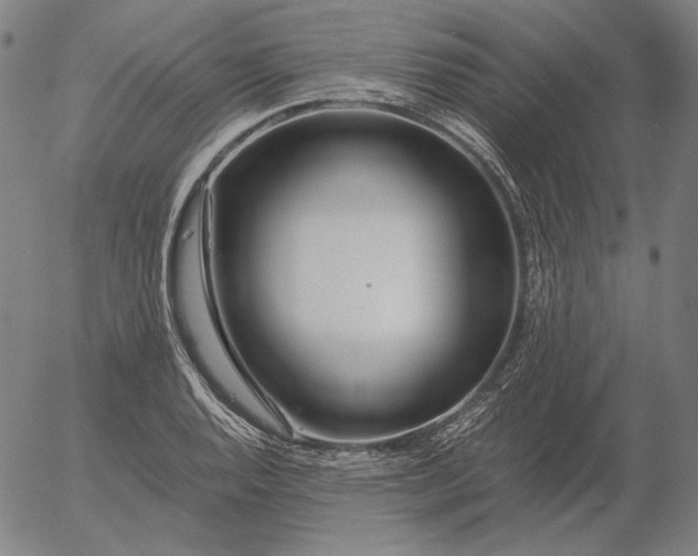 X0000056021128200509021749