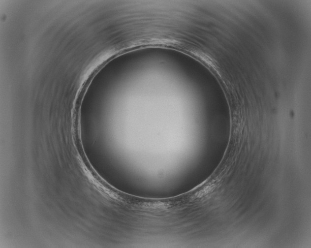 X0000056021135200509021749